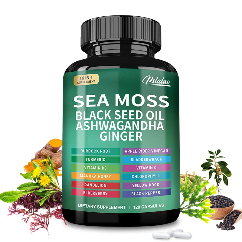 Lumut Laut |   Minyak Biji Hit - Black Seed Oil Capsule ulasan dan harga
